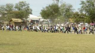 Surin Elephant Festival  Elephant pulling 50 people [upl. by Goebel192]