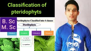 Classification of pteridophyts [upl. by Notsahc]