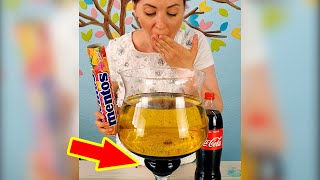 Oil Cola Mentos shorts Experiment by Family Booms [upl. by Acirej]