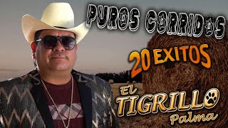 El Tigrillo Palma Mix Para Pistear  20 Canciones Corridos Más Buscados [upl. by Stanfield653]