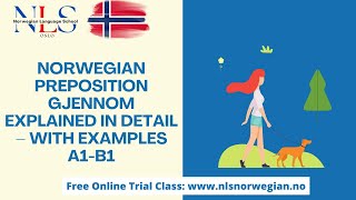 Learn NorwegianPreposition GJENNOM Explained in Detailwith ExamplesPreposisjonEpisode 142 A1B1 [upl. by Olsen30]