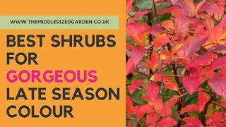 Six best shrubs for late season colour  from the beautiful English garden at Gravetye Manor [upl. by Trebleht]