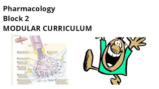 Pharmacology of Block 2  Part 1   MSK Module  All topics [upl. by Birkett]