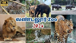 Discover Chennai Zoo Vandalurs Arignar Anna Zoological Park  2024 Tamil Wildlife Adventure [upl. by Annecorinne268]