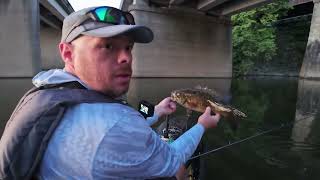 Post Spawn Smallies on Topwater [upl. by Ignaz]