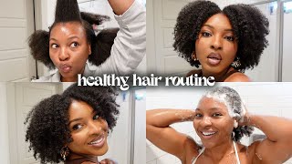 Healthy Hair Routine  Natural Hair Wash Day Wash amp Go Hair Growth Tips ft Prose  Kensthetic [upl. by Aicittel]