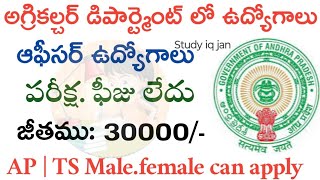 వ్యవసాయ శాఖ లో ఉద్యోగాలు  University of Agriculture Recruitment Notification 2023  Jobs Academy [upl. by Bink]