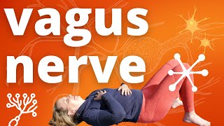 Vagus Nerve Massage for Anxiety and Stress Relief [upl. by Linnie726]