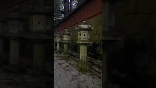 ⛩️ nikko japan shrine fypシ゚viral fyp youtube shorts [upl. by Sesmar]