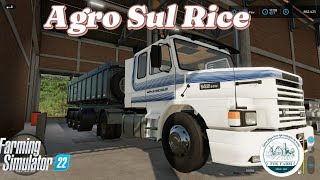 Live Agro Sul Arroz  RS and Agro Sul Rice e os trabalho continuaFarming Simulator 22 [upl. by Manda]