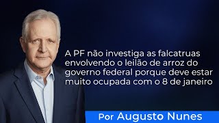 A PF não investiga as falcatruas do leilão de arroz porque deve estar ocupada com 8 de janeiro [upl. by Margaretta]