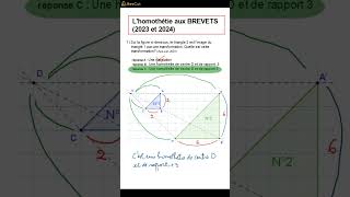 DNB 2024 Lhomothétie au BREVET [upl. by Silado]