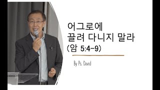 호주 브리즈번 로뎀나무 주일 예배20240623 어그로에 끌려 다니지 말라암549 by Guest Speaker Ps David [upl. by Romaine]