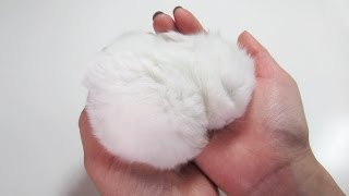 Fluffy Bunny Furball Sleeping in my Hand [upl. by Aroved971]