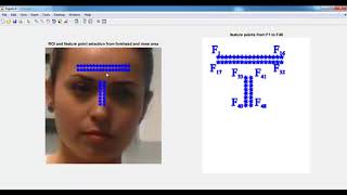 Video Based Heartbeat Rate Measuring Ballistocardiography Matlab Projects [upl. by Annol]