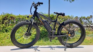 Rad Rover Electric Bike  Review [upl. by Olaf755]