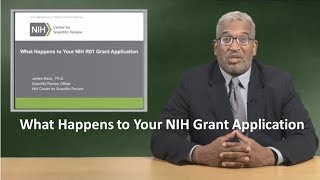 What Happens to Your NIH Grant Application [upl. by Amabel]