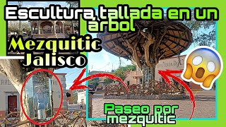 Mezquitic Jalisco Y Su Escultura Tallada En Un Árbol [upl. by Latisha]