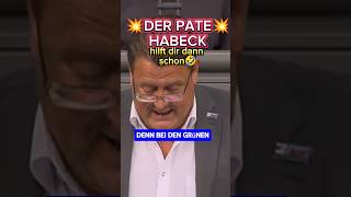 💥BRANDNER💥 NIMMT DIE GRÜNEN HOPPS🔥 ampel afd diegrünen habeck bärbock politik bundestag spd [upl. by Atsocal]