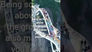 What are some facts about the glass bridge in China shorts shortfeed youtubeshorts facts [upl. by Auqenwahs]