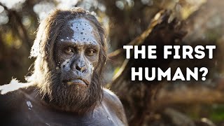 Evolution of Humans Documentary [upl. by Resarf]