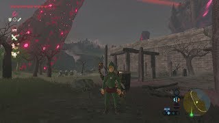 TRAJE TINGLE  EL TESORO FEÉRICO  ZELDA BotW [upl. by Nauqahs]