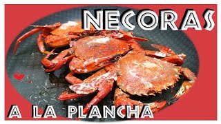 🦀 como hacer NECORAS a la PLANCHA  marisco plancha el mejor sabor [upl. by So]