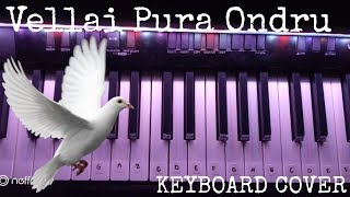 Vellai Pura ondru song  Keyboard cover with notes amp lyrics [upl. by Kitti]