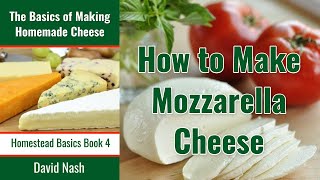 How to Make Mozzarella Cheese  30 Minute Mozzarella  Simple Awesome and Few Ingredients [upl. by Olaznog]