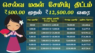 Sukanya Samriddhi Yojana schemes  Selva Magal Semippu Thittam ₹ 500 முதல் ₹ 12500 வரை [upl. by Aisined49]