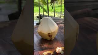 Learn the Coconut Peeling Trick thats Sweeping the Nation in 2024 asmr coconutcutting fruit [upl. by Leinahtam]