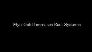 MycoGold Biological Inoculant Increases Root System for Crops [upl. by Chun]