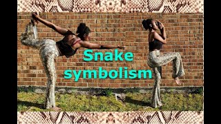 Snake Spirit Animal Totem Explained  Rebirth Healing amp Protection [upl. by Nnaeinahpets]