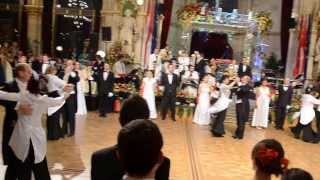 Alles Walzer  Vienna Rathaus Ball Seniors Dance 2014 [upl. by Jasun]