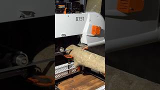 New Sawmill ireland sawmill timber logs holly woodwork machines bandsaw [upl. by Tenner]