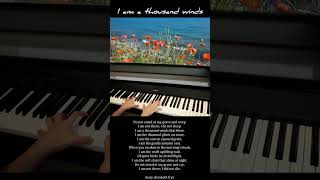 A Thousand Winds  Do Not Stand at My Grave and Weep by Hayley Westenra  Piano Cover [upl. by Arlena]