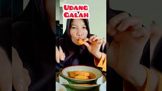 Makan Udang Galah Masak Santan keseharianaurorakhansa shorts mukbang [upl. by Atsahs]