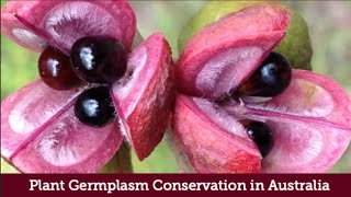 Launch of the Plant Germplasm Conservation in Australia guidelines 3rd Edn [upl. by Goldshlag966]