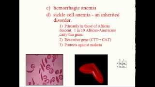 Hematology  Physiology  Part 2 [upl. by Mikol]