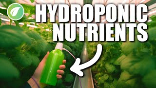 Hydroponic Nutrients for Beginners [upl. by Bazluke]