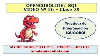 VIDEO 36  Clase 29  SQL embebido en COBOL  INSERT  DELETE  MySQL [upl. by Joe]