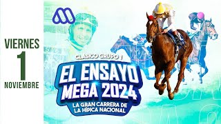 ESPECIAL JORNADA DE EL ENSAYO MEGA 2024 [upl. by Maurise576]