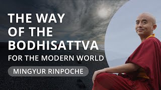 The Way of the Bodhisattva with Yongey Mingyur Rinpoche [upl. by Eanrahc]