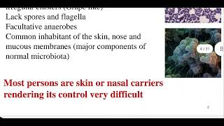 Medical Microbiology Staphylococcus lec2 [upl. by Ahselef339]