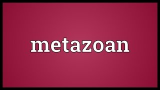 Metazoan Meaning [upl. by Pagas470]