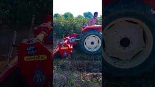 Zari industry farming pakistan ☪️and dha bahawalpur 11bc new Holland tractor 🚜 480 foryou foryou [upl. by Notsuoh]