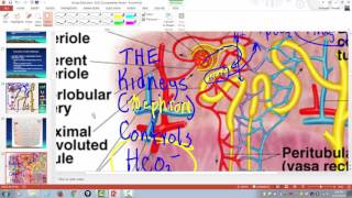 Arterial blood gas interpretation [upl. by Hsilgne602]