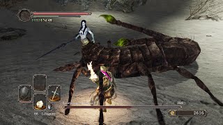 Dark Souls 2  No Bonfire amp No Death Run  Easy Guide UPDATED  Part 37 [upl. by Shaughnessy]