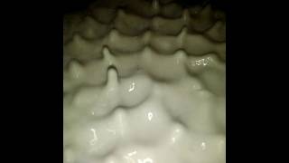 Physics wobble  Cymatics type thing with a speaker water and flour [upl. by Soulier]