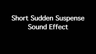 Short Sudden Suspense Sound Effect  Suspenseful SFX [upl. by Anaerb350]